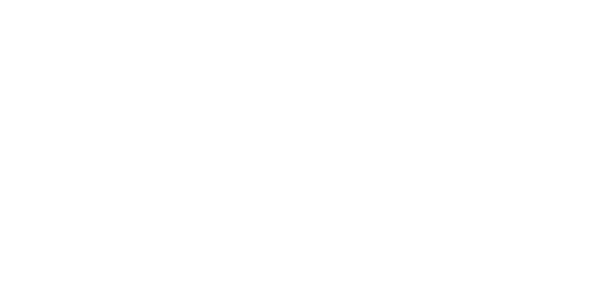 forsa